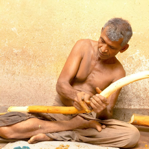 Queen of Spices - Cinnamon Tour in Mirissa