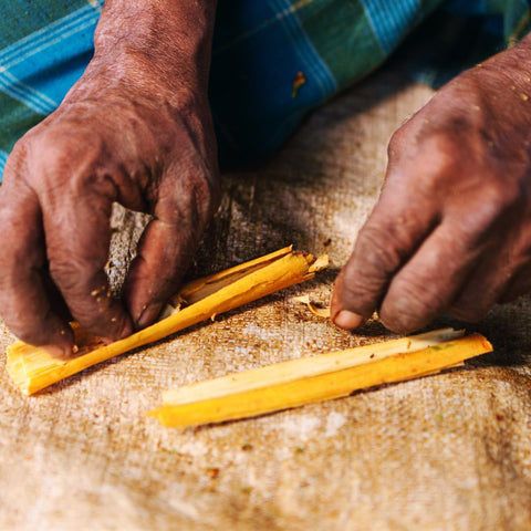 Queen of Spices - Cinnamon Tour in Mirissa