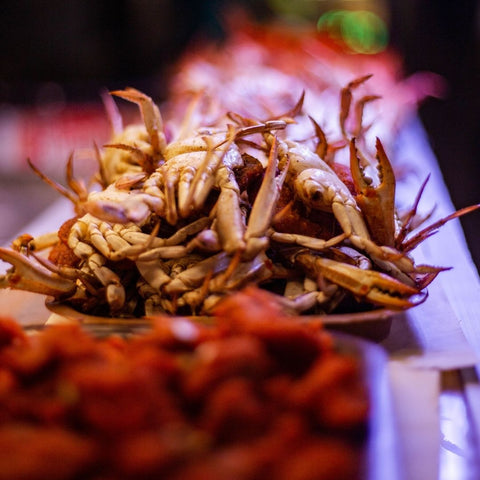 Colombo Night Bites