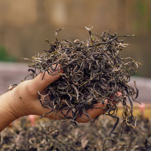 A Tea Planter’s Life